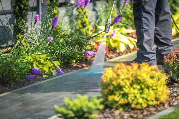 Best Dumpster Area Cleaning  in Jerome, IL