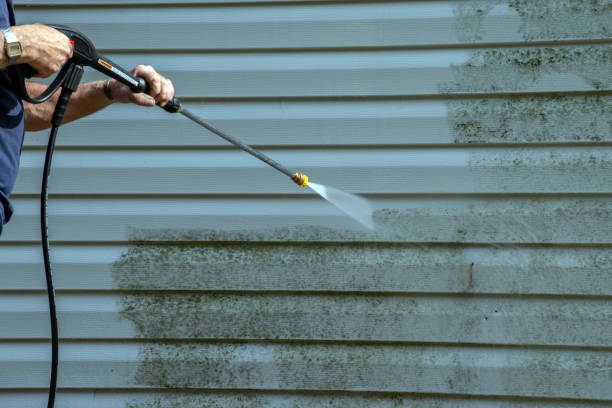 Best Patio and Deck Pressure Washing  in Jerome, IL